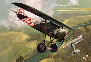 Fokker E.V / D.VIII (No. 2831, 190/18), jeszcze z błędem kolorystyki przemalowanej lezenge na ogonie.